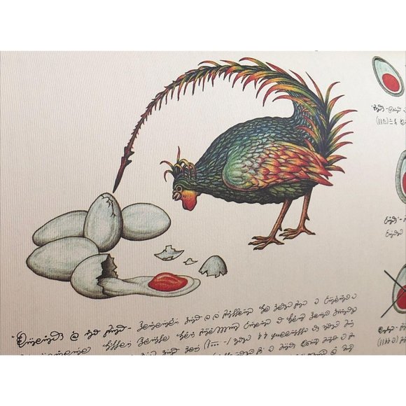 Luigi Serafini Codex Seraphinianus Print 92 - Picture 4 of 6